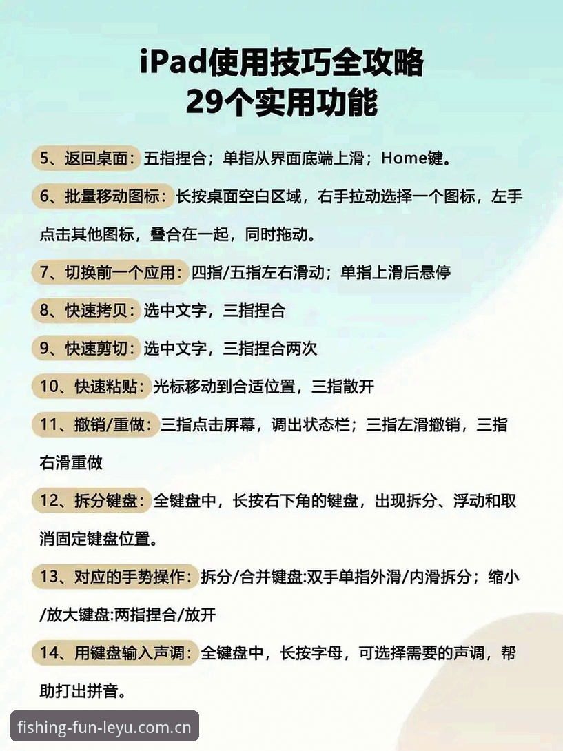 乐鱼官方平台使用全解析：从新手到高手的完整操作指南